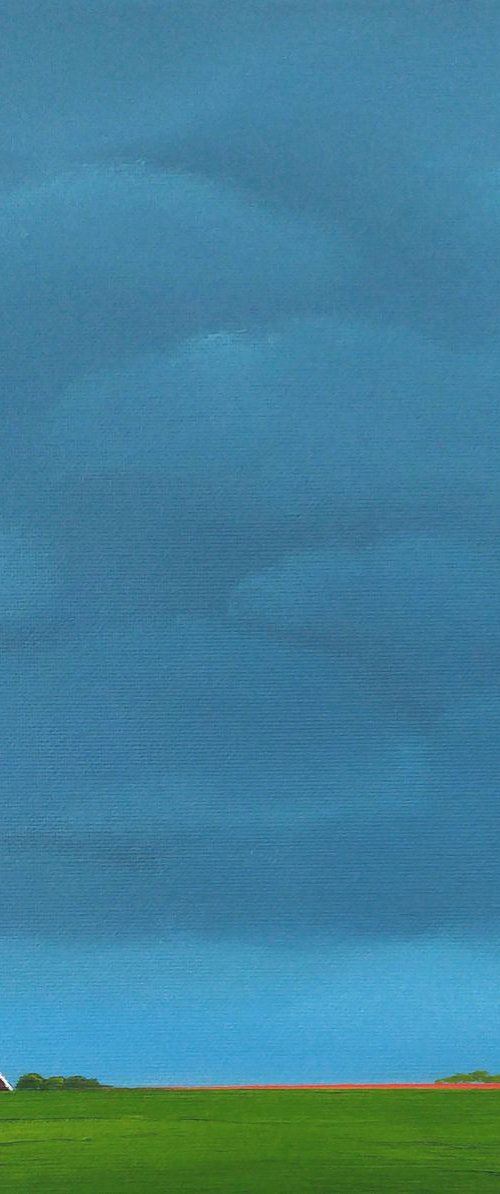 My polder after the rain (June) by Nelly van Nieuwenhuijzen