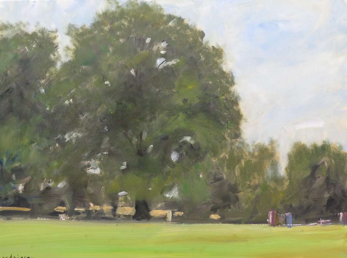 York Oak by Malcolm Ludvigsen
