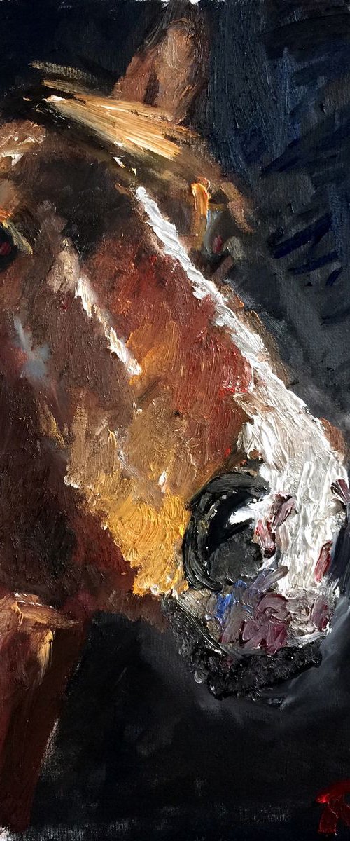 Horse by Ryan  Louder