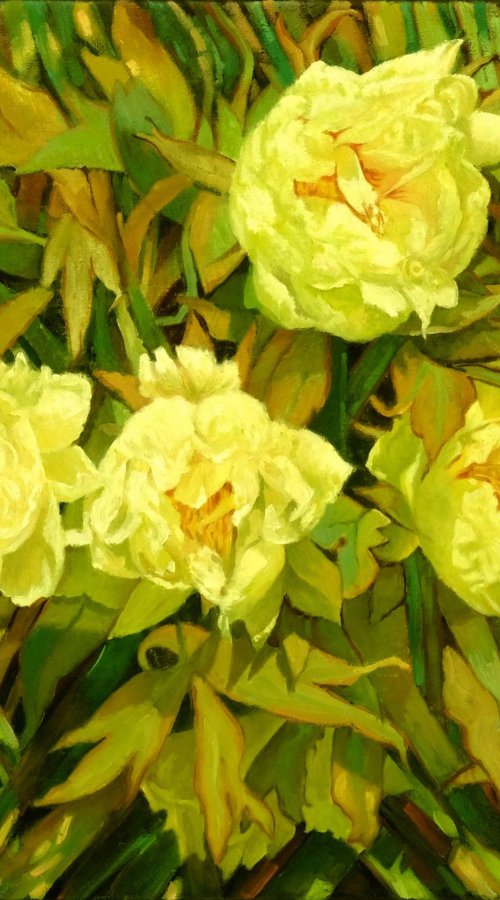 Mainau garden 3. - Peonia by Richard Mierniczak