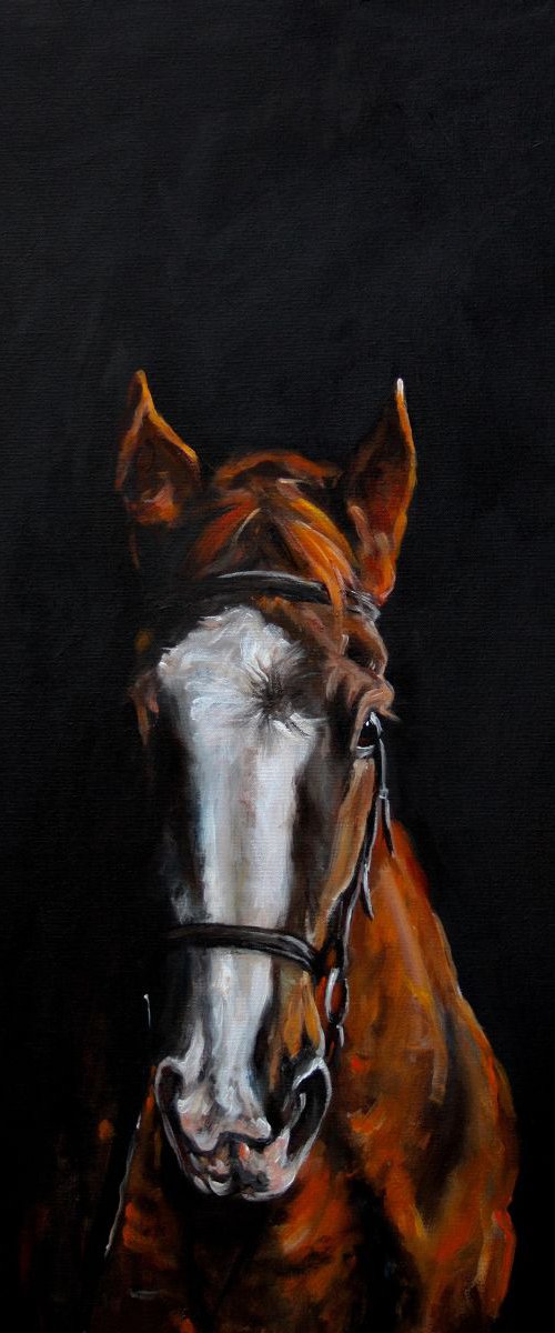 Equus by Louise Brown