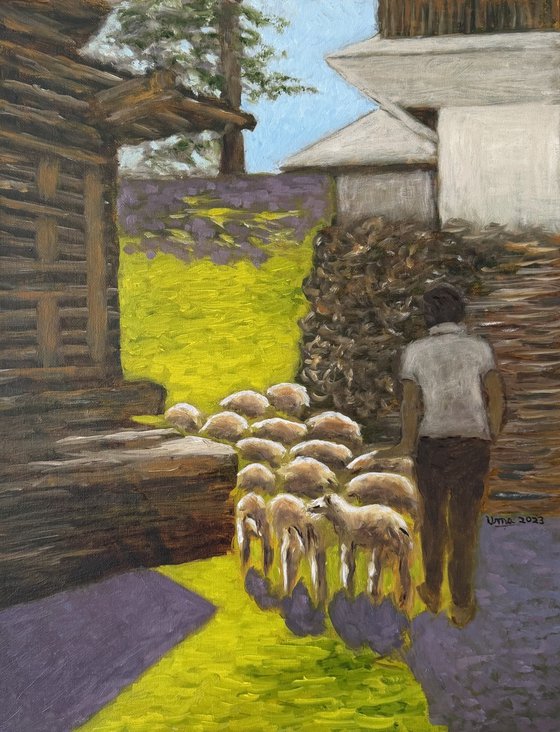 Sheep being taken to graze