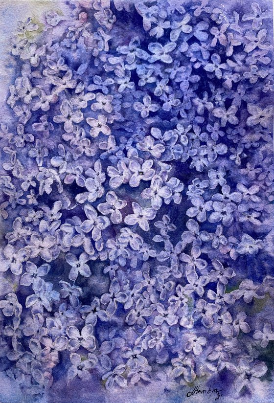 Lilac dreams