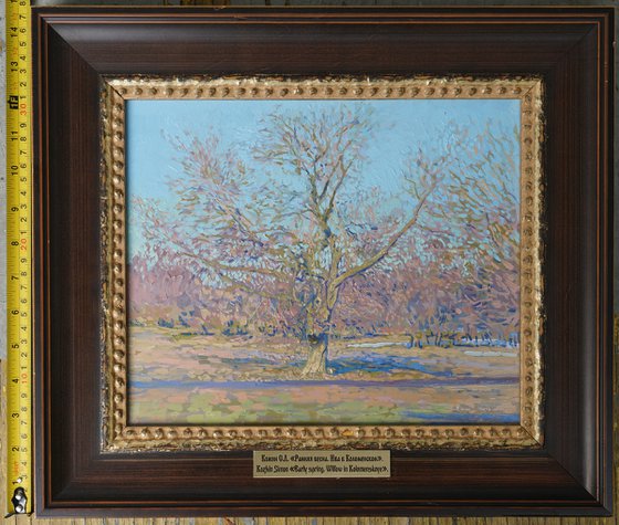 In early spring. Willow tree