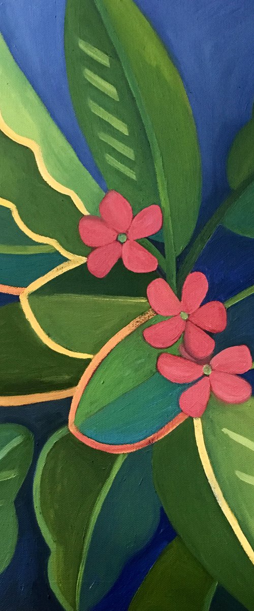 Frangipani by Laurel Macdonald