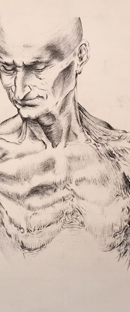 Anatomical Study by Habib Hajallie