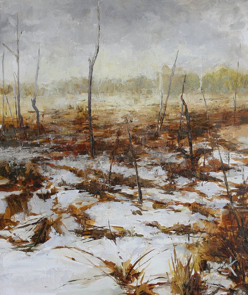 Swamp in winter by Justin Krasuckas