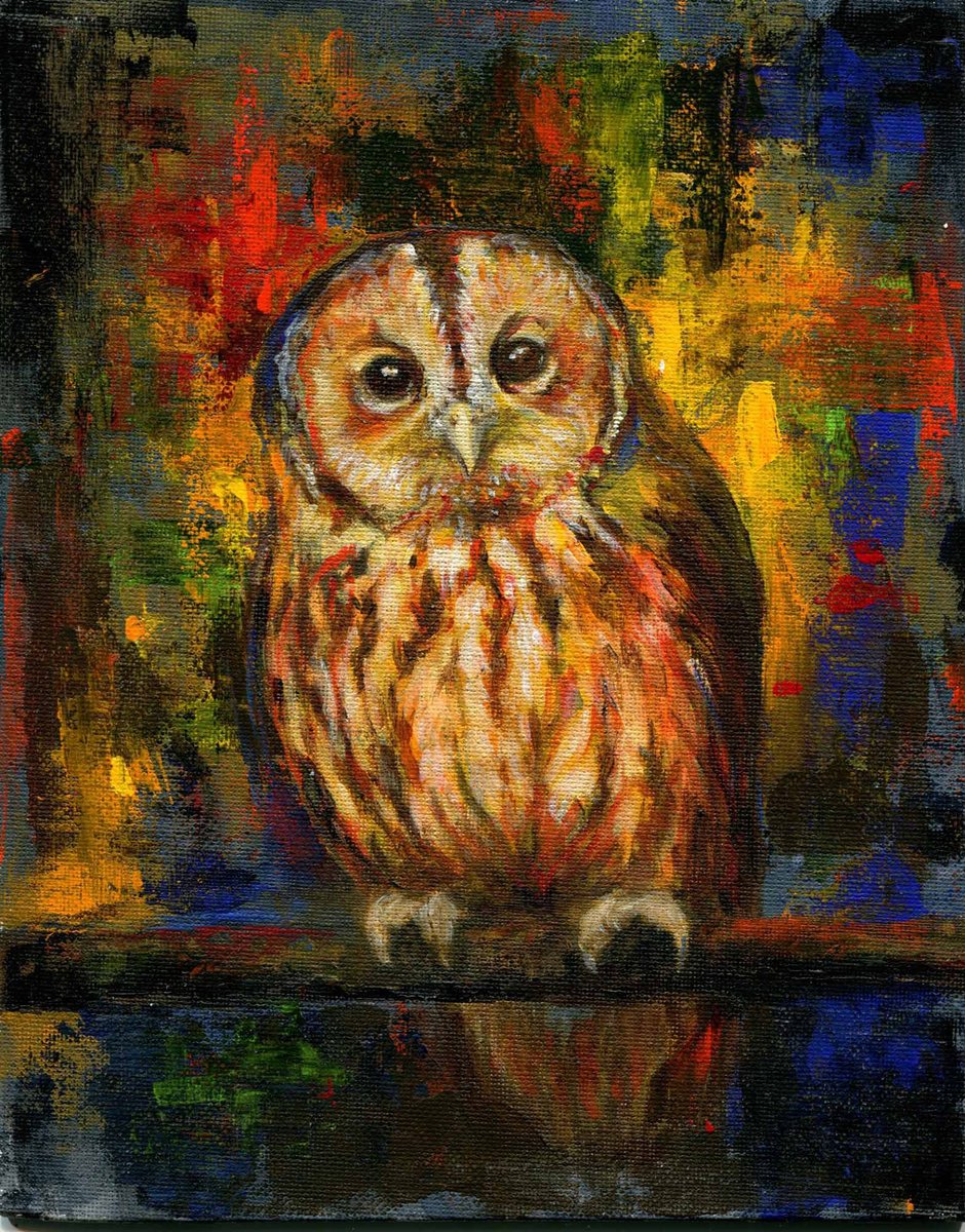 Tawny Owl by Lauren Bissell