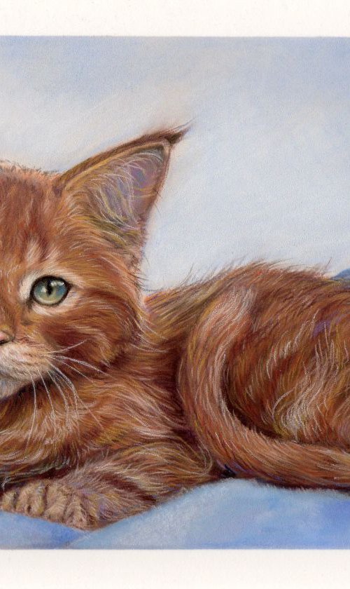Red maine coon kitten by Tatjana Bril
