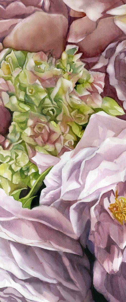 roses with hydrangea watercolor by Alfred  Ng