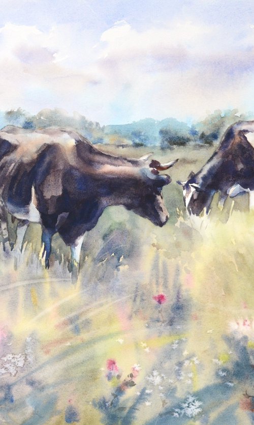 Two black and white cows by Yulia Evsyukova