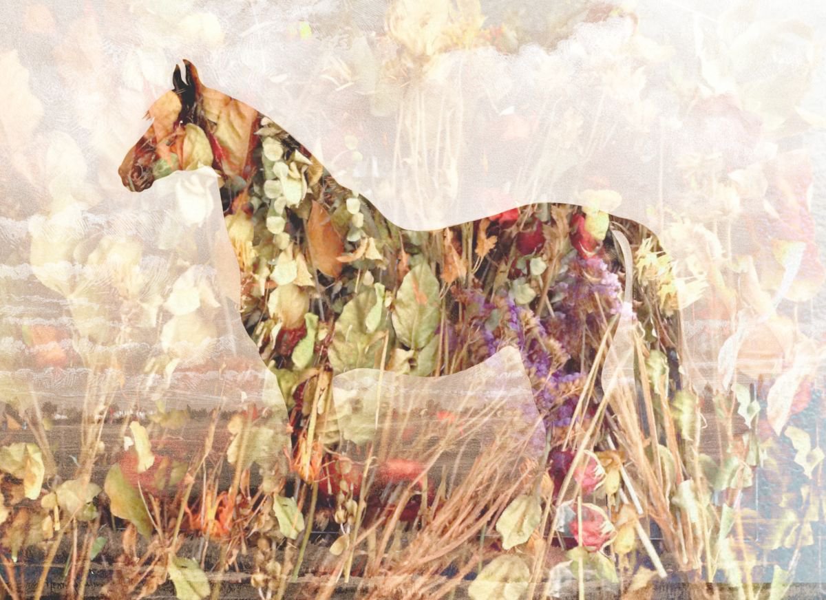 Surrealistic Animal Photograph By Srdjan Jevtic, 39 X 28", Vogue, Original Artwork