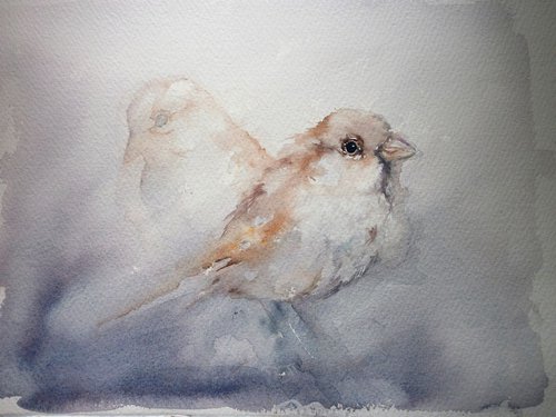 sparrows by Sue  Green
