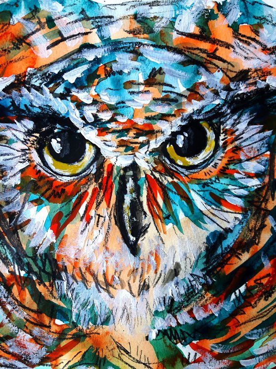 "The Owl stare""