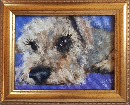 Dog 01.24 / framed / FROM MY A SERIES OF MINI WORKS DOGS/ ORIGINAL PAINTING by Salana Art Gallery