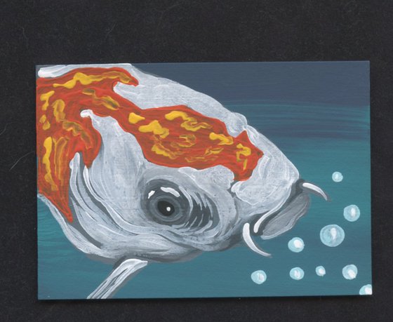 Koi Goldfish-Carla Smale