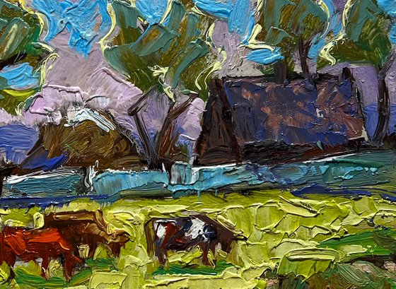 Cows on a green field