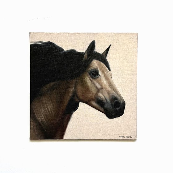 Horse Portrait 16