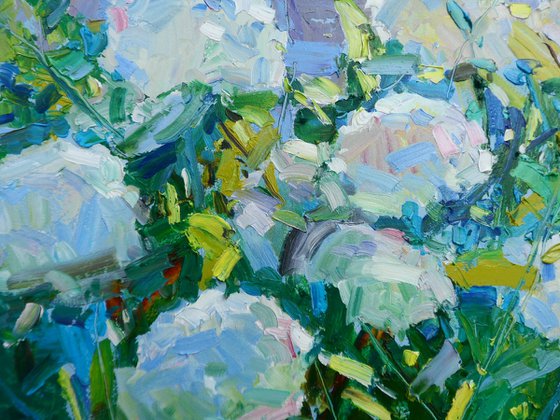 "  Hydrangea "