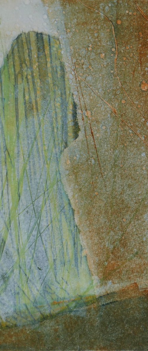 Winter Walk by Sue  Roe