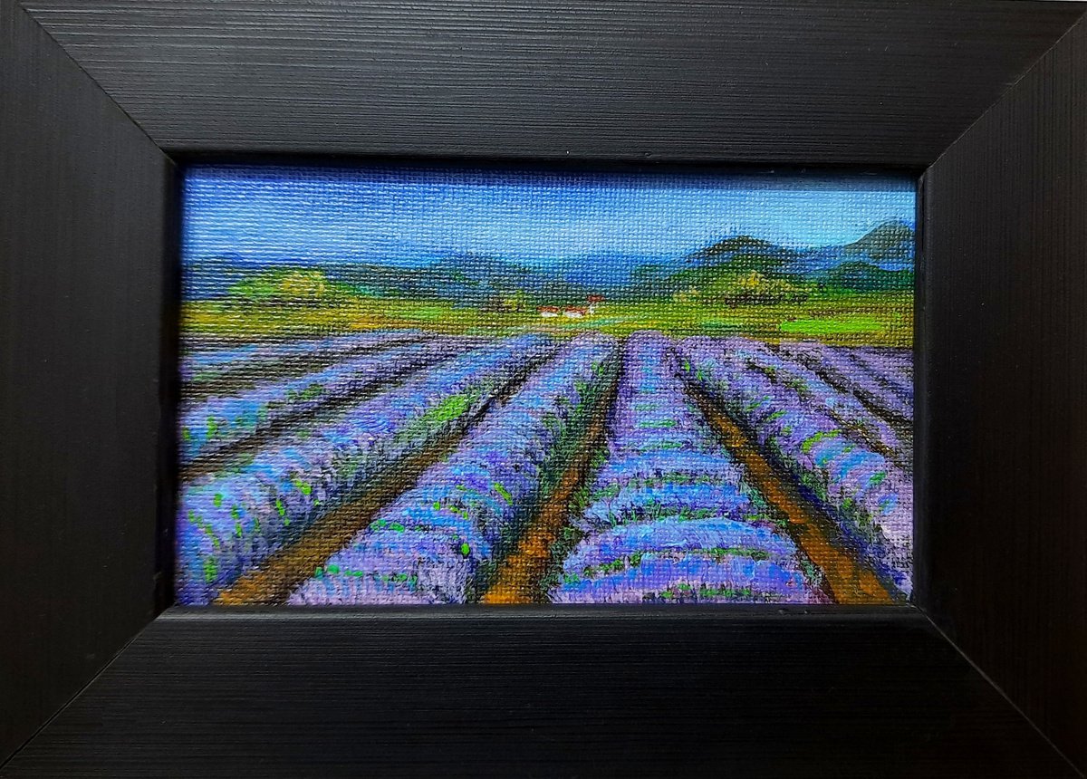 Miniature Framed Landscape Painting French Lavender fields 5x 3 by Asha Shenoy