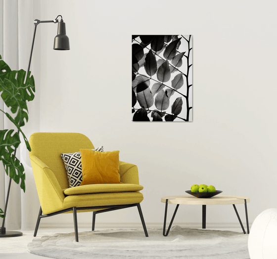 Branches and Leaves II | Limited Edition Fine Art Print 1 of 10 | 60 x 90 cm