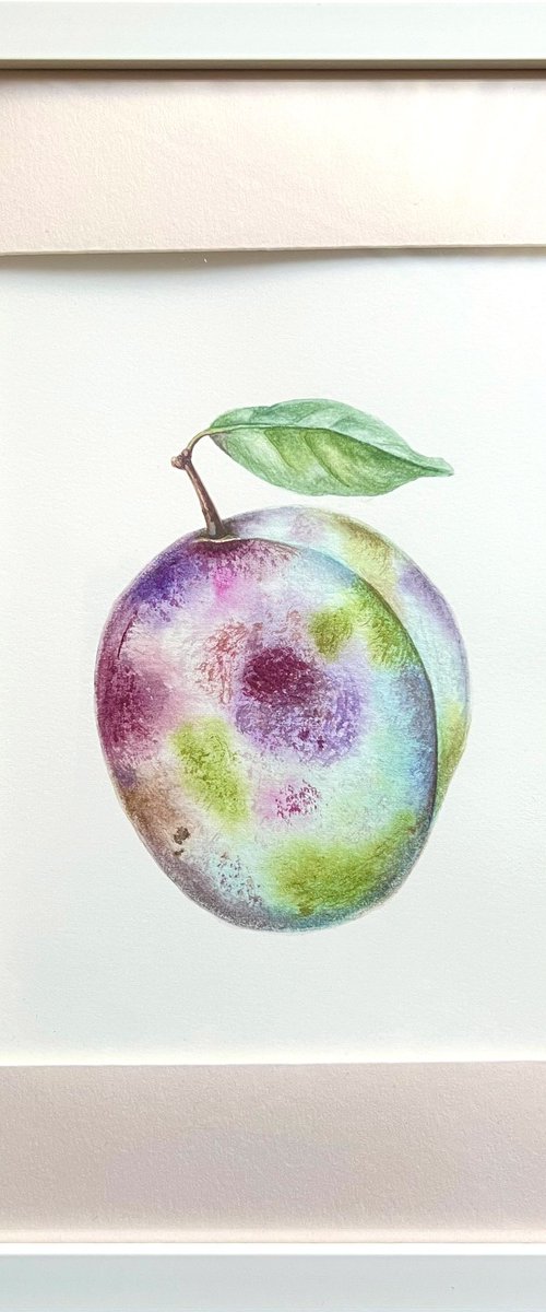 Juicy Plum by Tetiana Kovalova