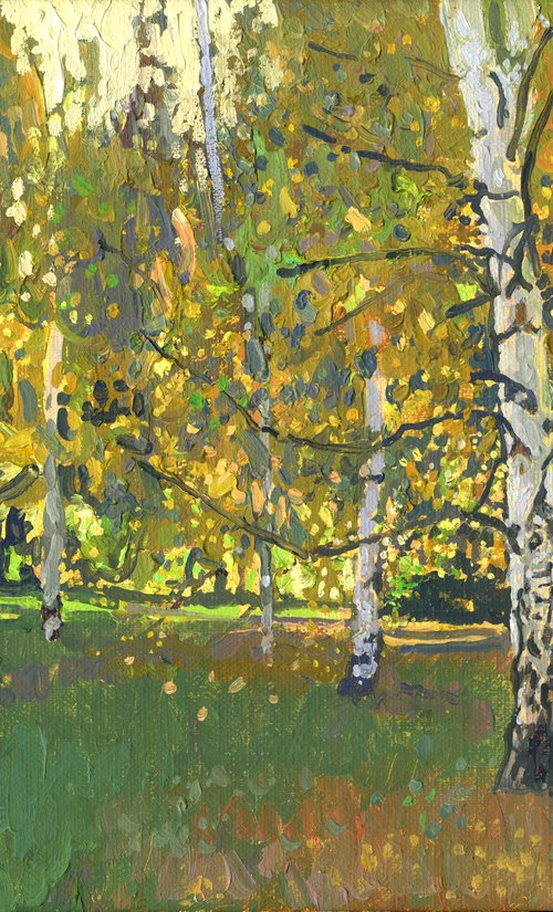 Birch trees at sunset in September by Simon Kozhin
