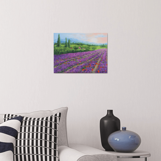 Purple lavender field