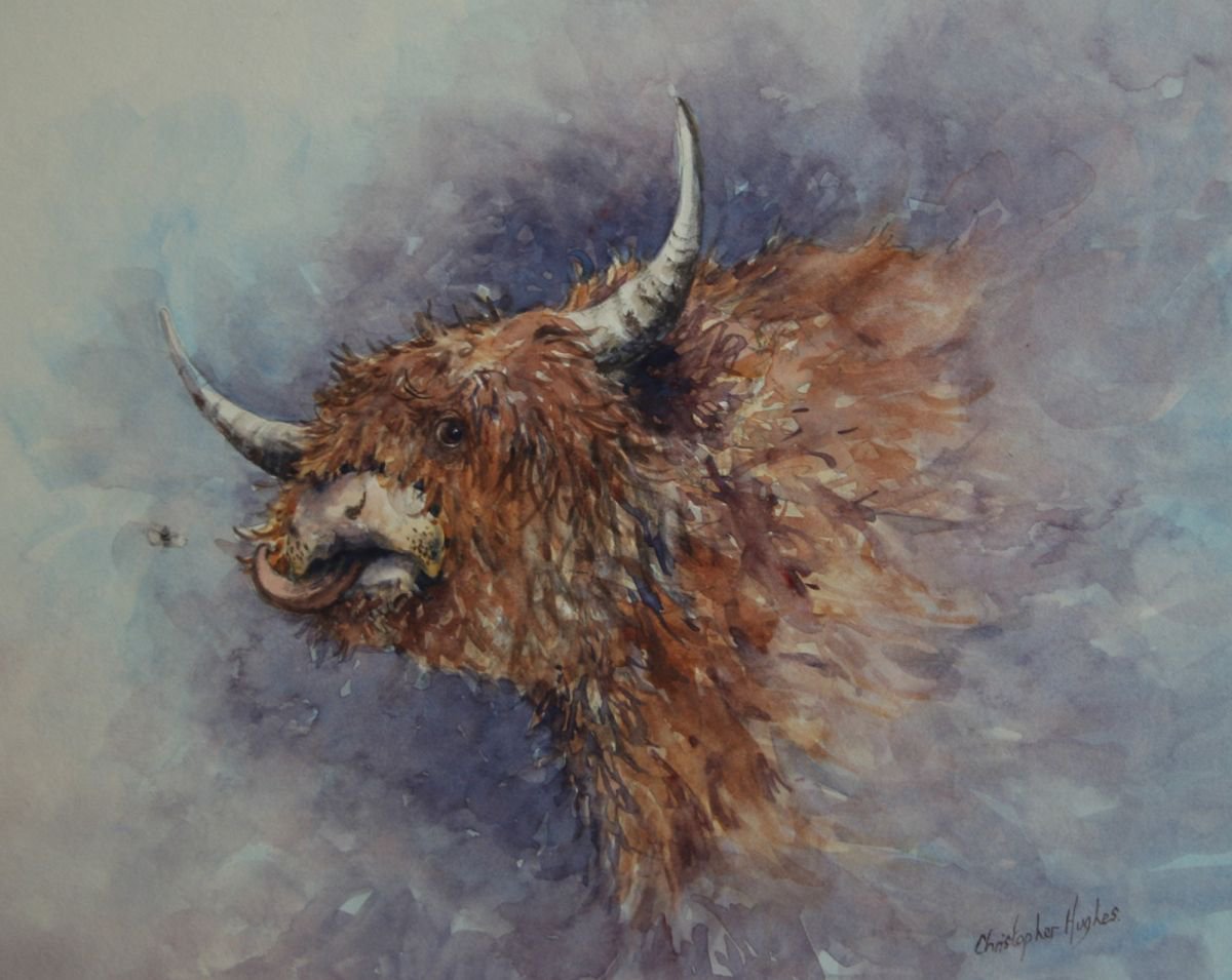 Impressionistic Animal Watercolour By Christopher Hughes, 12 X 10, The Highlander And The Bee, Original Artwork