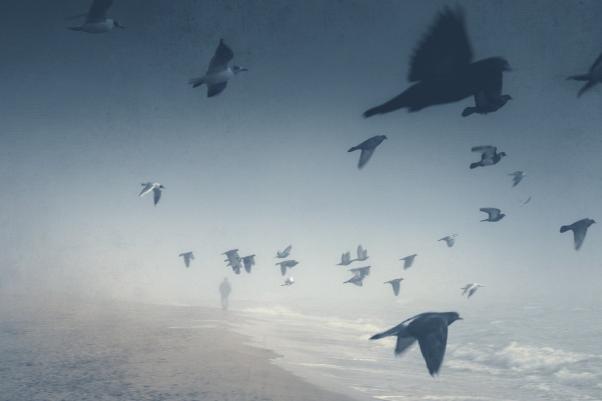 Impressionistic Landscape Photograph By Valerix, 30 X 20", Wherever You Go., Original Artwork