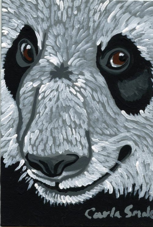 Panda Bear by Carla Smale