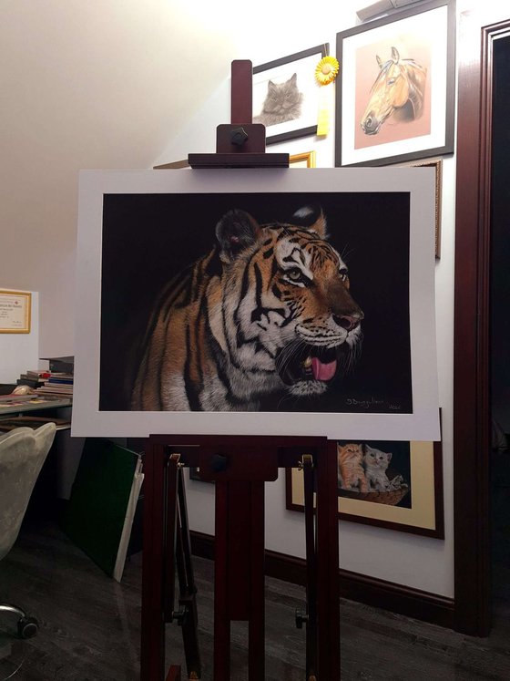 Tiger realism wild animals pastel on pastelmat