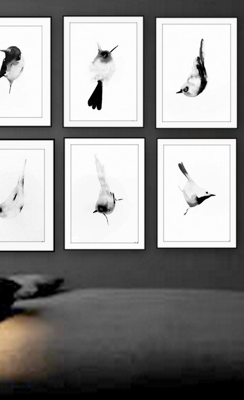 Birds by Nadia Moniatis