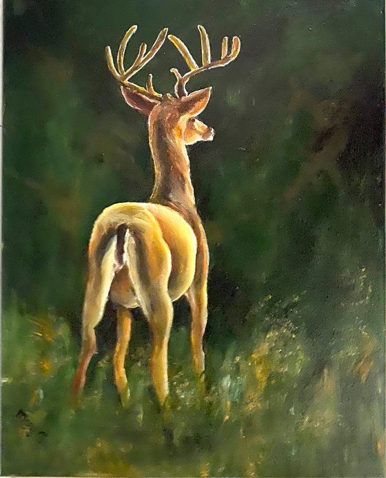 Realistic and Dazzling Where is the Hunter 11x14 Oil painting fully framed