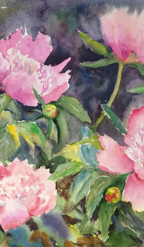 Pink Peonies in the Garden by Ann Krasikova