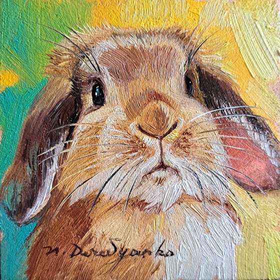 Rabbit portrait