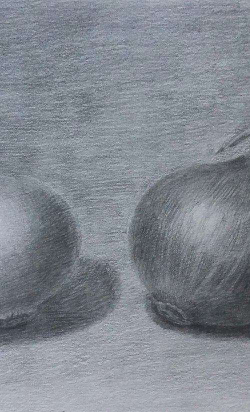 Still life # 3 Onion. Original pencil drawing. by Yury Klyan