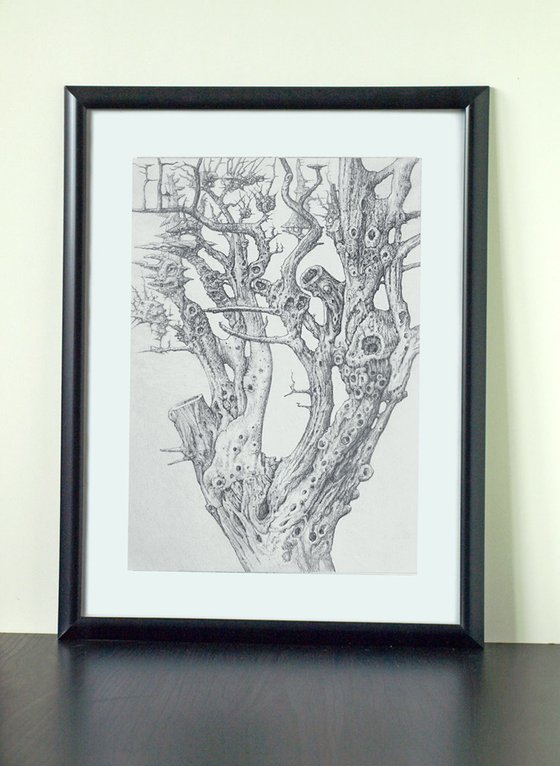 Every tree has its own melody. Habitat №04