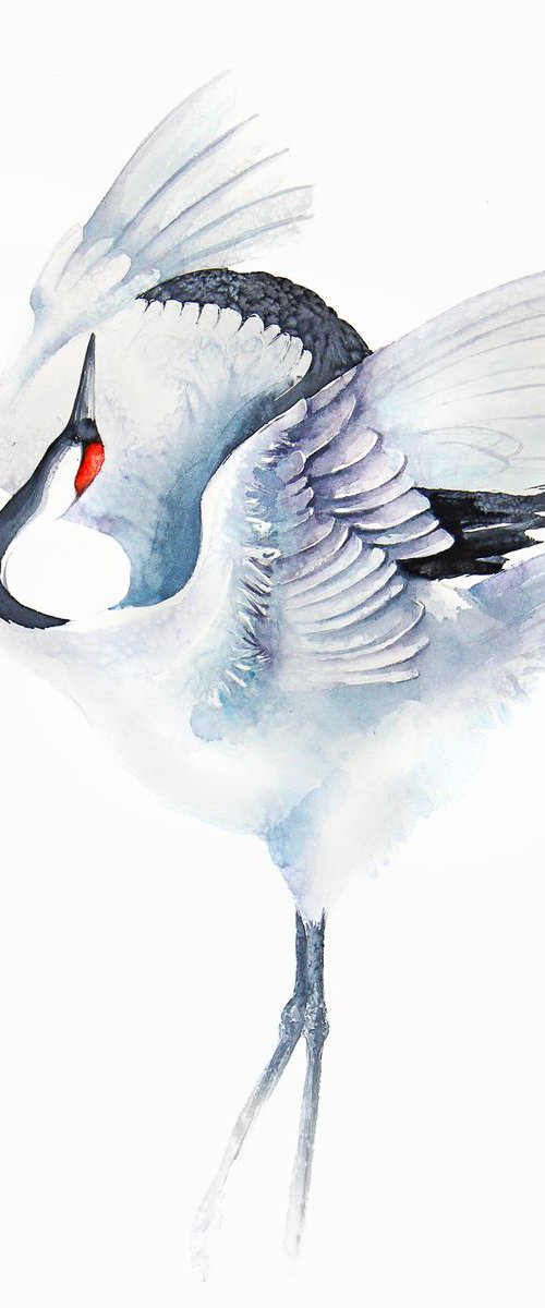 RED CROWNED CRANE, bird, birds, animals, wildlife watercolour painting by Karolina Kijak