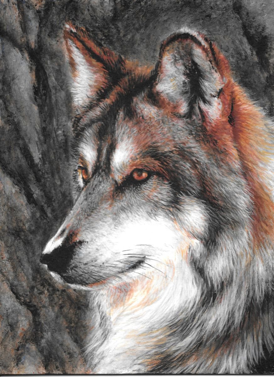 Grey Wolf by Lauren Bissell