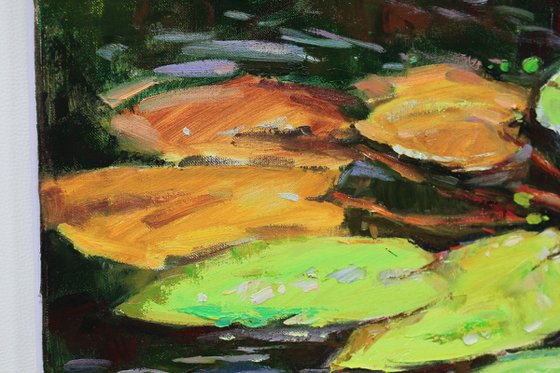 "Water lilies"