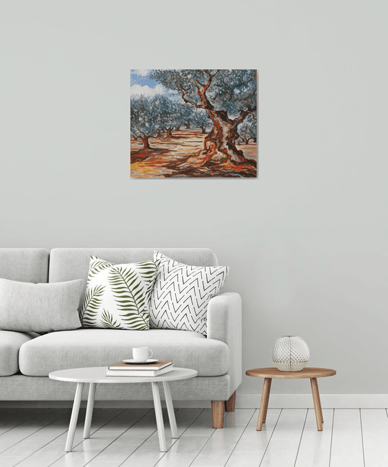 Olive Grove