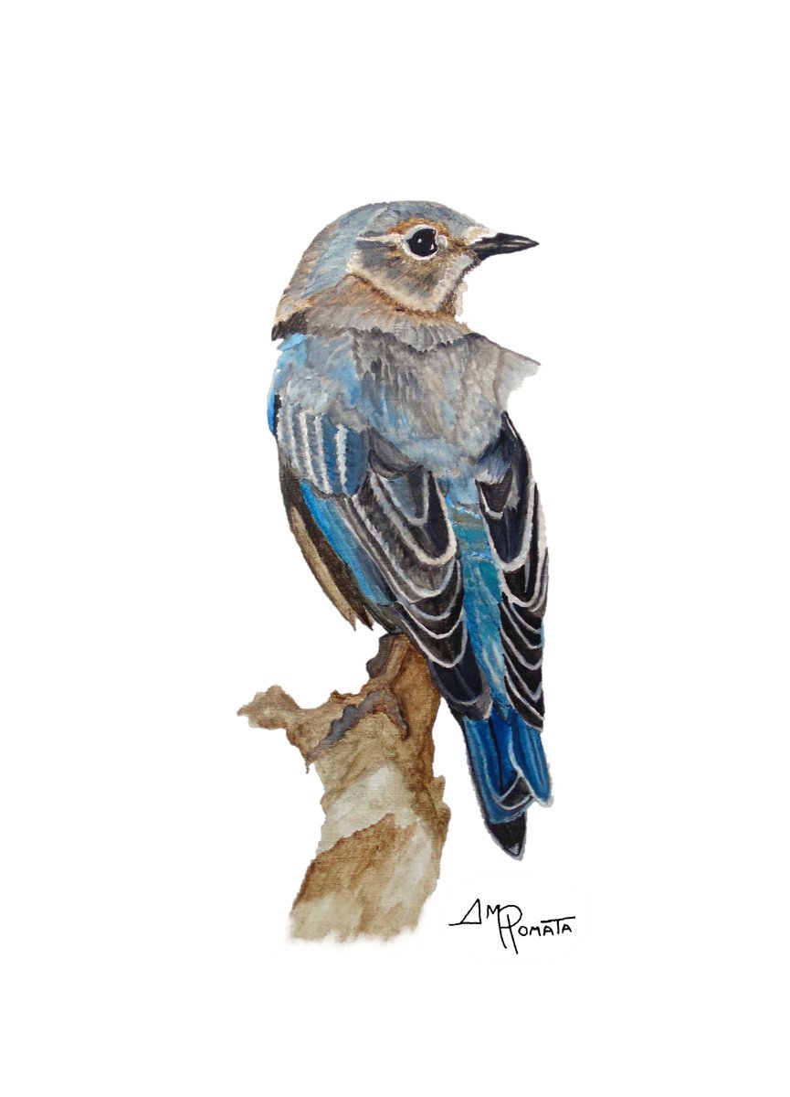 Impressionistic Animal Oil Painting By Angeles M. Pomata, 10 X 13, Watercolor Eastern Bluebird, Original Artwork