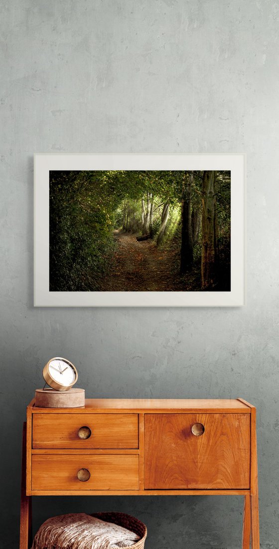 The Path to Flimwell