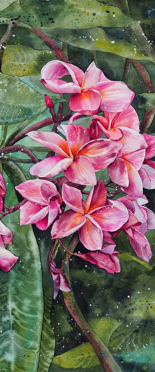 Tropical by Delnara El