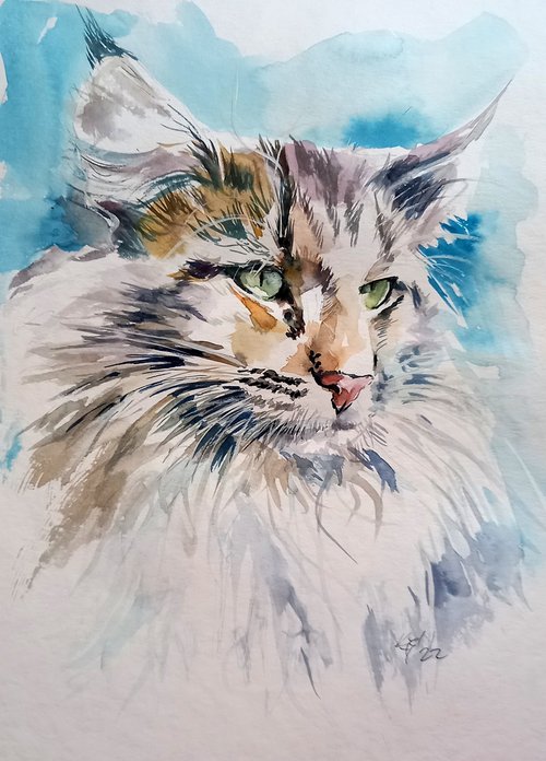 Cat portrait by Kovács Anna Brigitta