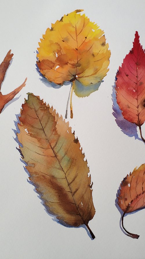 Colours of Autumn 2 by Jing Chen