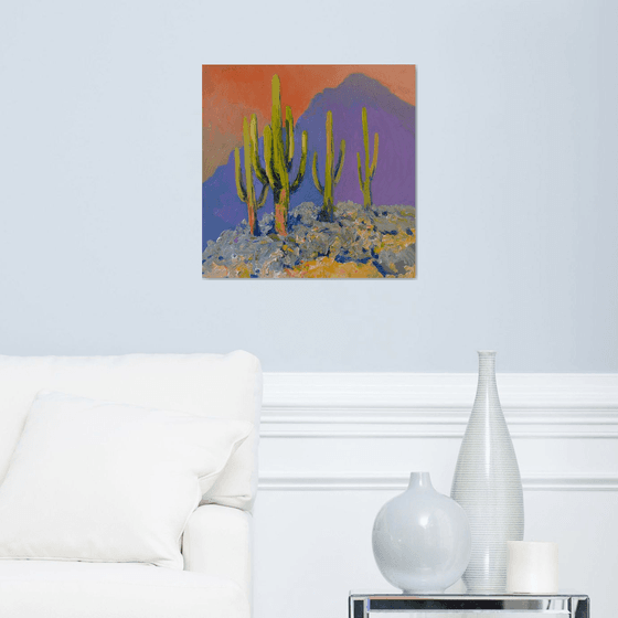Evening and Saguaro Cactuses