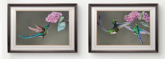 Colibri Flowers Diptych Pastel